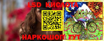 крисы Бийск
