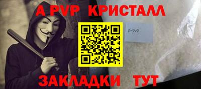 крисы Бийск