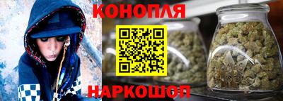 крисы Бийск