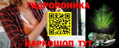 крисы Бийск