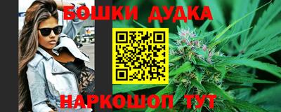 крисы Бийск