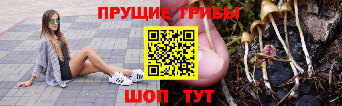 Кашира  Вход с VPN  ГАШ  Гашиш  COCAIN  Метадон  Наркошоп  МЕФ кристаллы  Канабис 