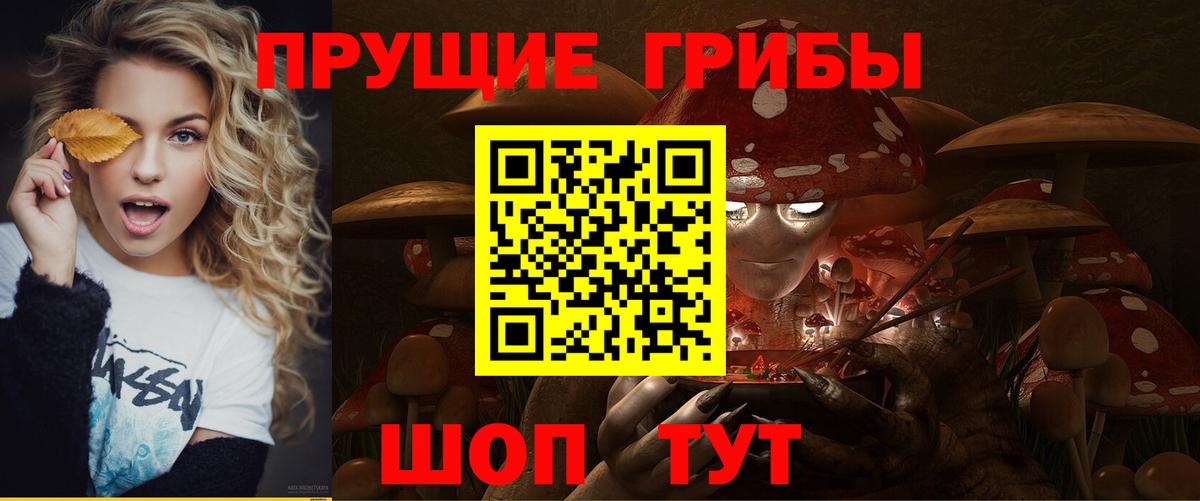 Галлюциногенные грибы мицелий  Вход с VPN  Галлюциногенные грибы Psilocybe  Кашира 